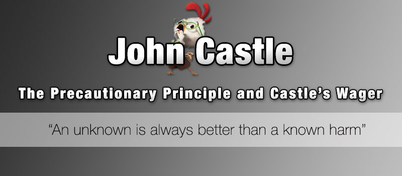 The Precautionary Principle and Castle’s Wager