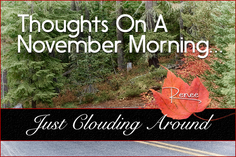 Thoughts On A November Morning…