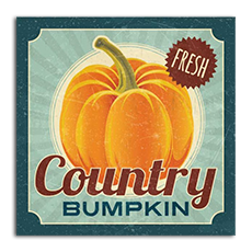 Rocket Fuel Vapes - Spinfuel eMagazine Review country_bumpkin