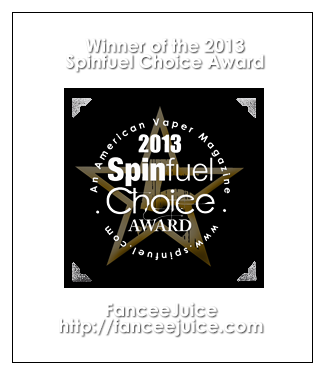 winner of the 2013 spinfuel choice awards