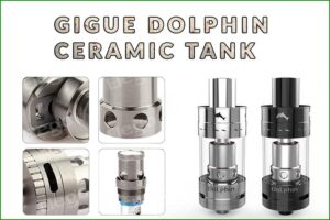 Gigue Dolphin Tank Review by Julia Hartley-Barnes for Spinfuel eMagazine