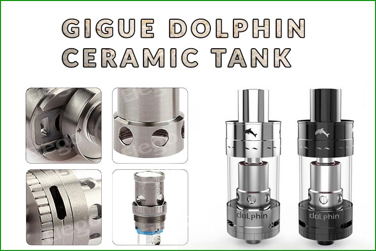 Gigue Dolphin Tank Review