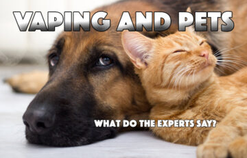 Vaping and Pets - E-Cigarettes and pets