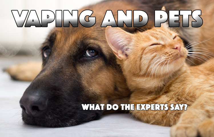 how bad is nicotine for dogs