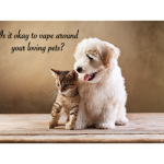 vaping and pets