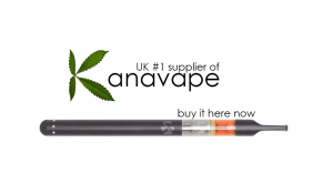 Kanavape CBD Vape Pen Review – Spinfuel VAPE Magazine