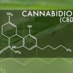 A Beginner's Guide To Cbd Vaping Beginner's Guide To CBD Vaping - Spinfuel VAPE Magazine