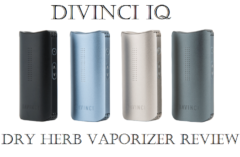 DaVinci IQ Dry Herb Vaporizers Review - Spinfuel VAPE Magazine