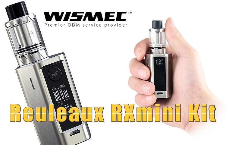 WISMEC Reuleaux RXmini Kit Review