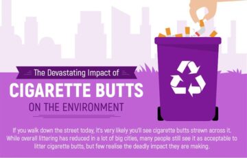 Title Cigarette Butts & the Environment | Spinfuel
