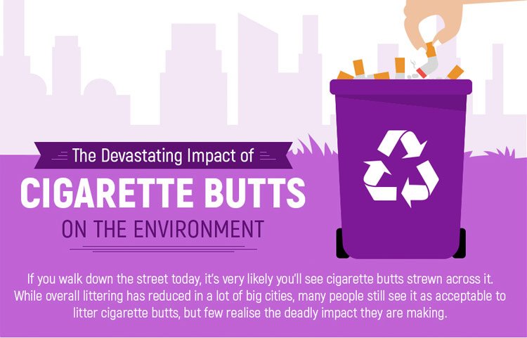 Cigarette Butts & the Environment A PurpleBox Infographic
