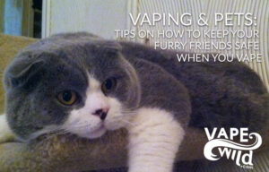 Vaping & Pets: Tips on How to Keep Your Furry Friends Safe When You Vape