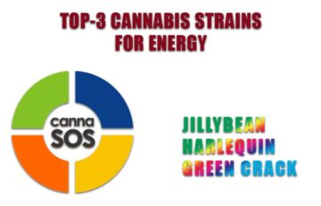 TOP-3 Cannabis Strains for Energy by Spinfuel VAPE