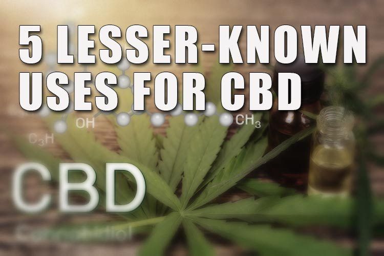Five Lesser-Known Uses for CBD