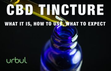 Using Urbul CBD Tincture for Anti-inflammatory and Pain