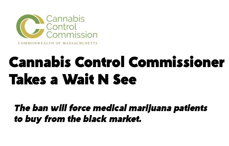 Cannabis Control Commissioner Takes a Wait N See
