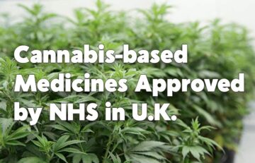 Cannabis-based Medicines Approved by NHS