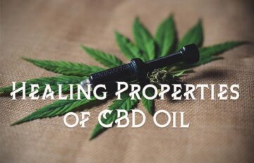 Healing Properties of CBD Oil