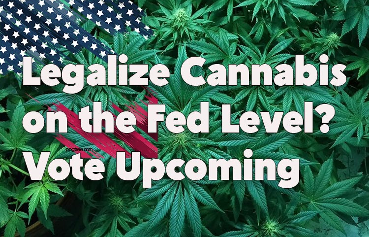 Legalize Cannabis on the Fed Level? Vote Upcoming