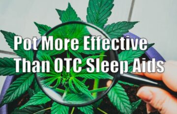 Cannabis, or Pot, is Better Than OTC Sleep Aids