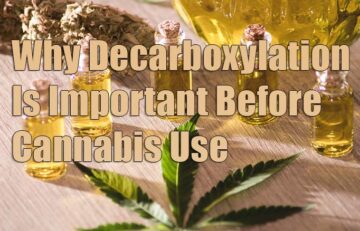 Why Decarboxylation, Decarboxylate, or Is Important Before Cannabis Use