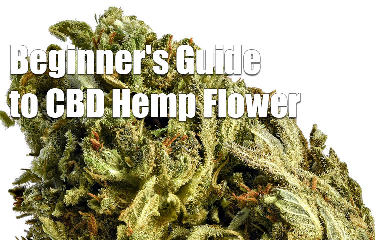 Beginner's Guide to CBD Hemp Flower