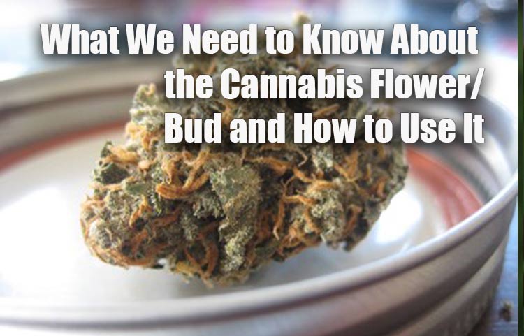 What We Need To Know About The Cannabis Flower - Spinfuel