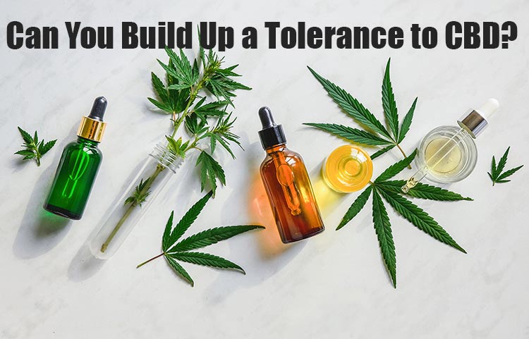 Can You Build Up a Tolerance to CBD?