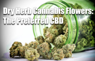 Dry Herb Cannabis Flowers: The Preferred CBD