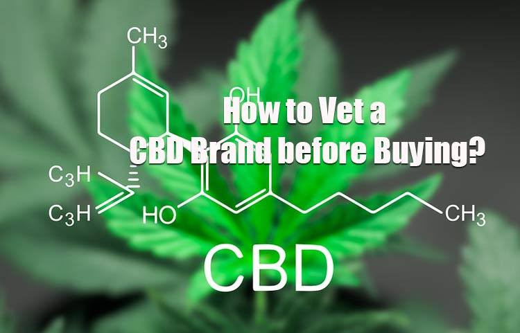 How to Vet a CBD Brand before Buying?
