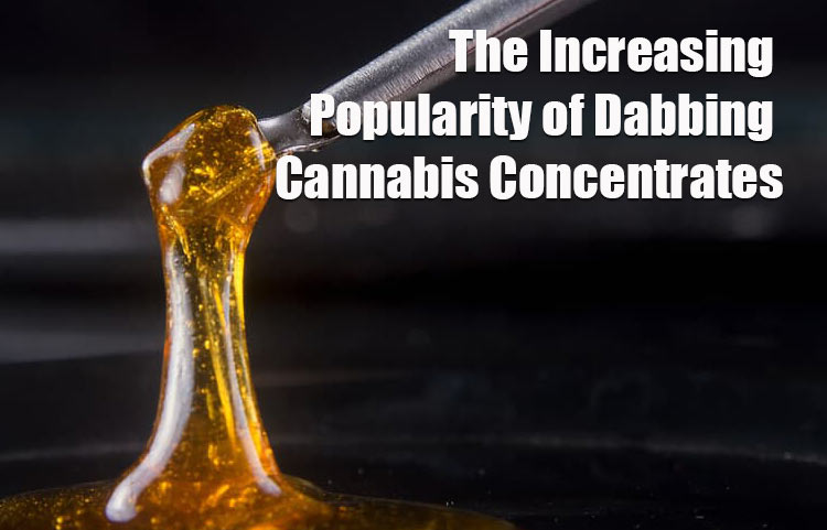 The Increasing Popularity of Dabbing Cannabis Concentrates