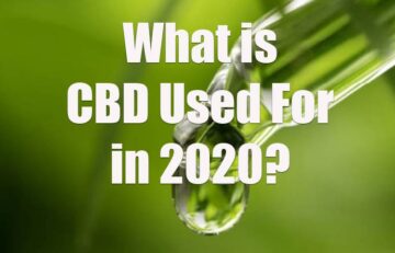 What is CBD Used For?