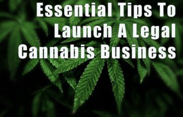 Essential Tips To Launch A Legal Cannabis Business