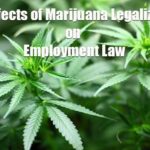 The Effects of Marijuana Legalization on Employment Law