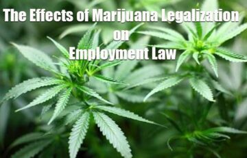 The Effects of Marijuana Legalization on Employment Law
