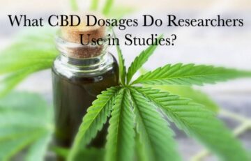 What CBD Dosages Do Researchers Use in Studies?