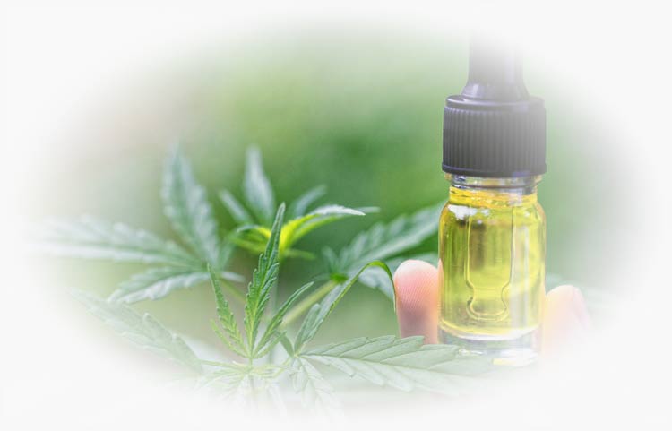 5 Things You Didn’t Know About CBD Oil