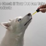 How To Check If Your Pet Can Take CBD Products