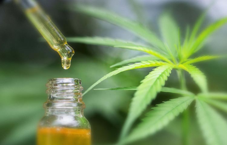 Five Potential but Promising Benefits of CBD Oil