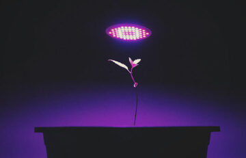How LED Grow Lights Work