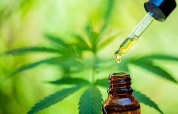 Hectic Times - The Complete Guide To CBD Oil: What You Need To Know
