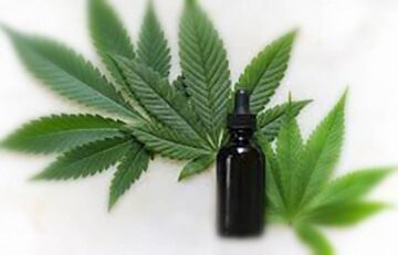 How CBD oil can be beneficial for the working class
