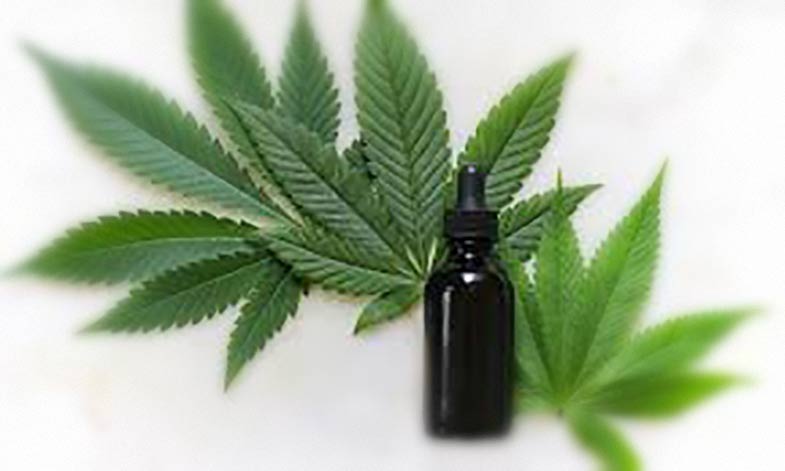 How CBD oil can be beneficial for the working class