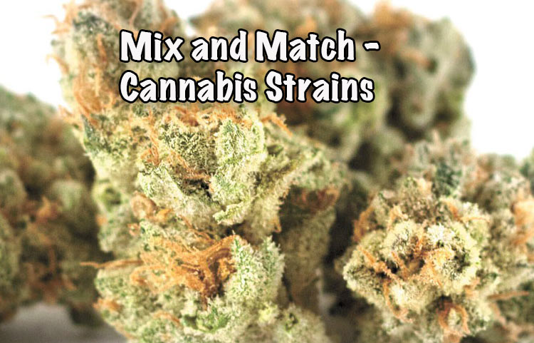 Mix and Match - What's the best way to mix strains?