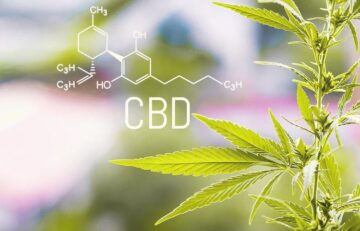 How Does CBD Interact with Medication?