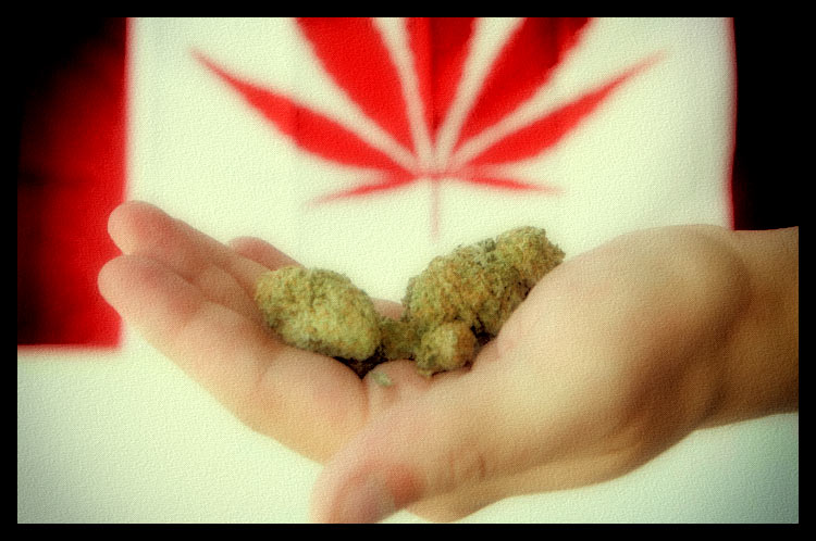Canada And Weed – A Nice Collaboration