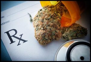 Essentials For Medical Marijuana Use