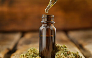Tips for Choosing High-Quality CBD Products