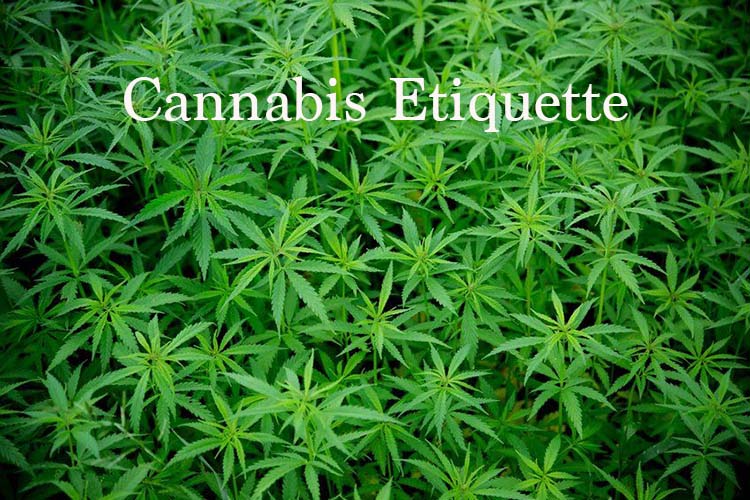 Cannabis Etiquette In The New Normal