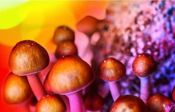 Why Magic Mushrooms Should Be On Your Wellness Wishlist In 2022
